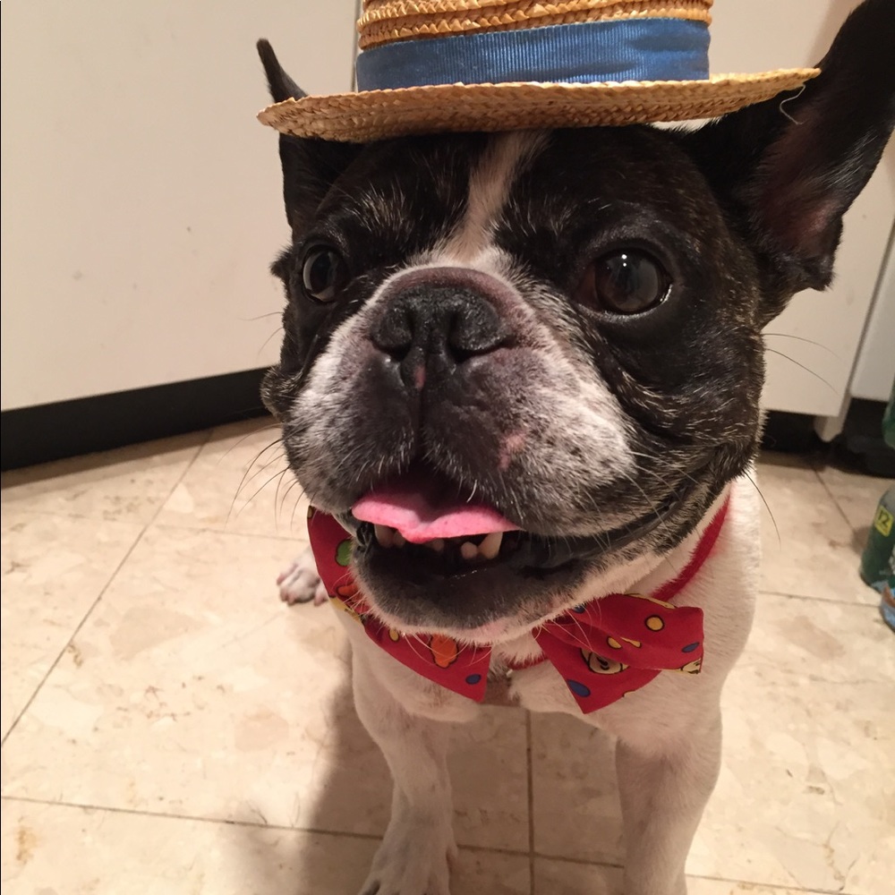 Meet your Posher, Robin